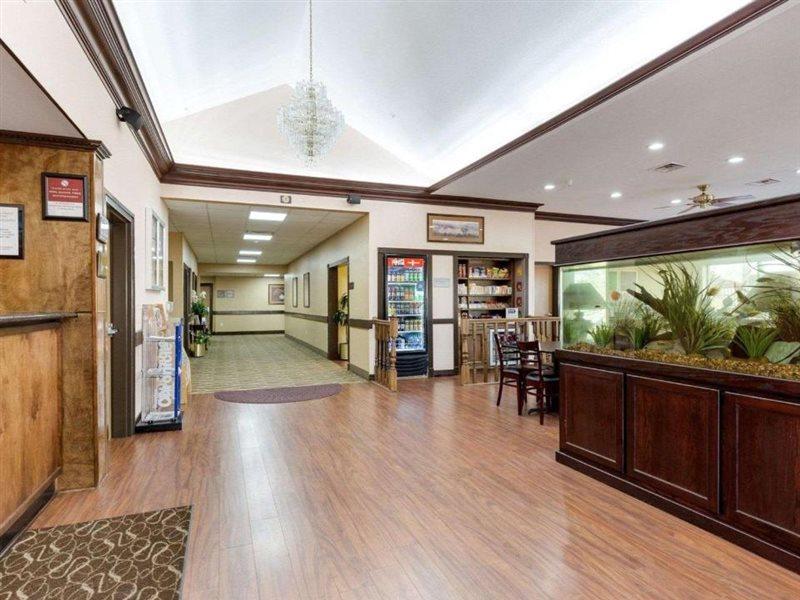 Comfort Suites Lake Jackson Clute Lago Jackson Exterior foto